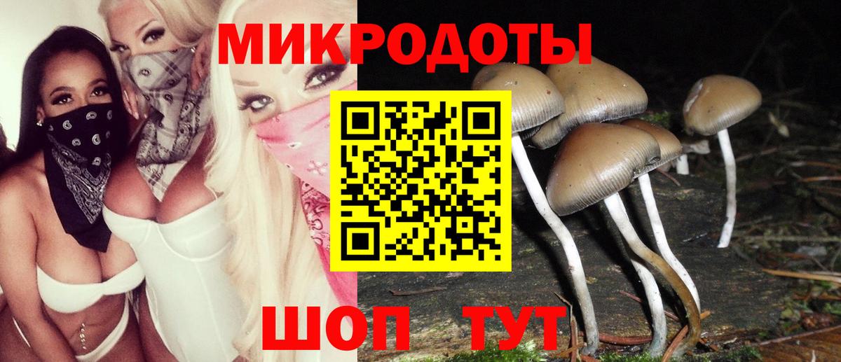 Галлюциногенные грибы Psilocybine cubensis Пыть-Ях