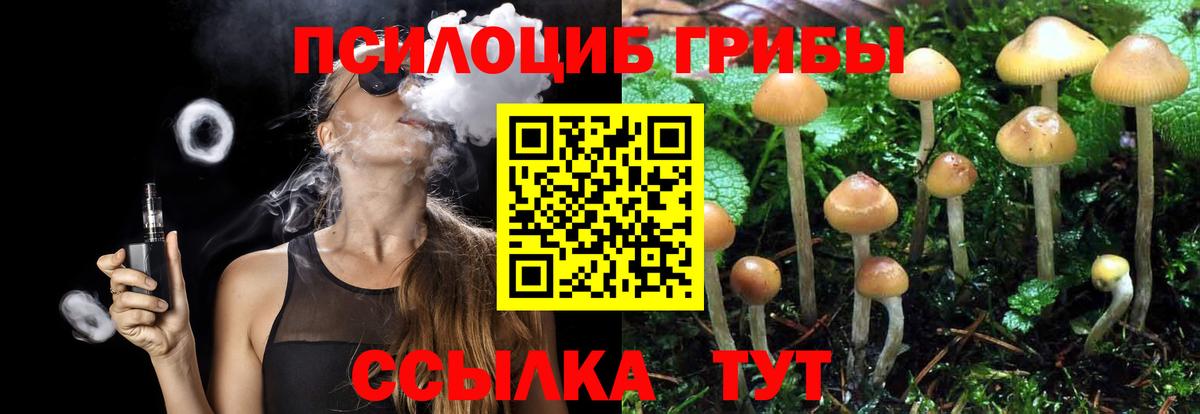 Пыть-Ях  Галлюциногенные грибы Psilocybe  Вход с VPN  Галлюциногенные грибы мицелий 
